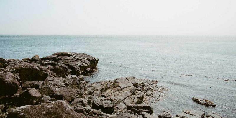 从工业原料到绿色溶剂：碳中和目标下化工园区循环经济模式的构建与实践