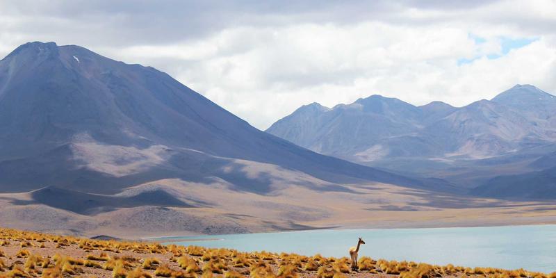 化学品供应链韧性构建：热诚化工分享如何应对地缘政治与突发事件对添加剂供应的冲击