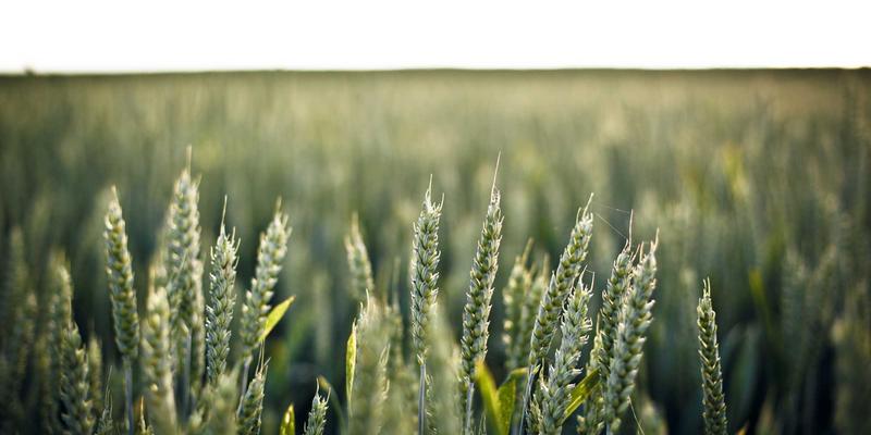 化工产品17：高效溶剂与工业原料的全方位解决方案