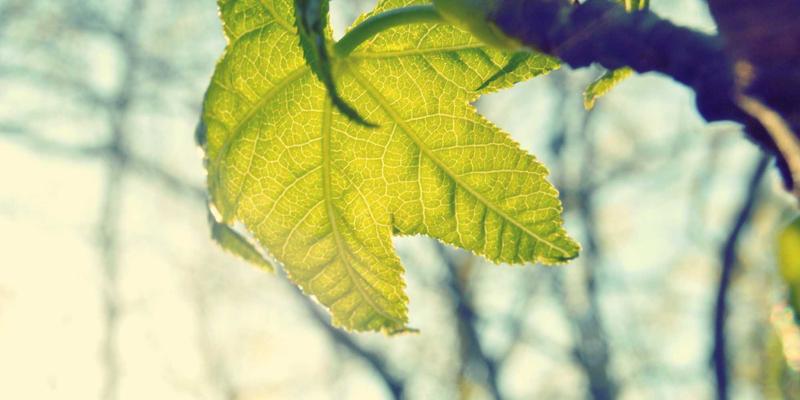 化工产品40：功能性添加剂在现代化学品中的关键作用与行业前景