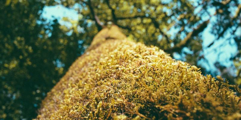 化工产品47：添加剂与工业原料的协同创新与应用指南