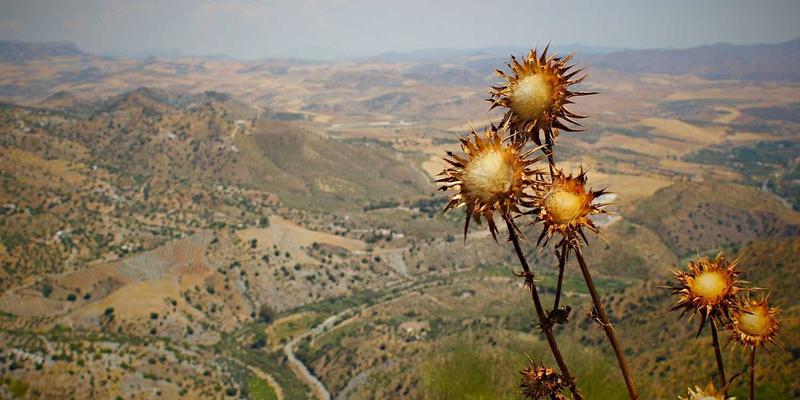 化工产品89：现代工业的隐形支柱——从工业原料到精密溶剂的多维解析