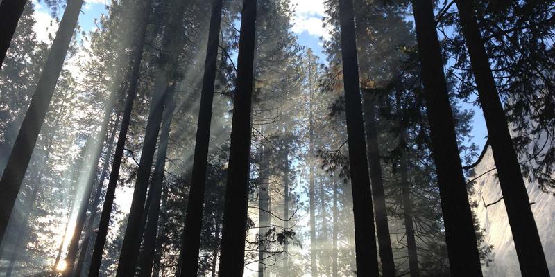 化工产品9：溶剂在现代工业中的关键应用与热诚化工的解决方案