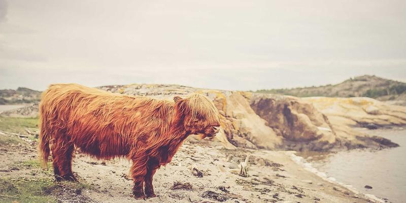 化工产品与添加剂：创新解决方案如何驱动产业升级