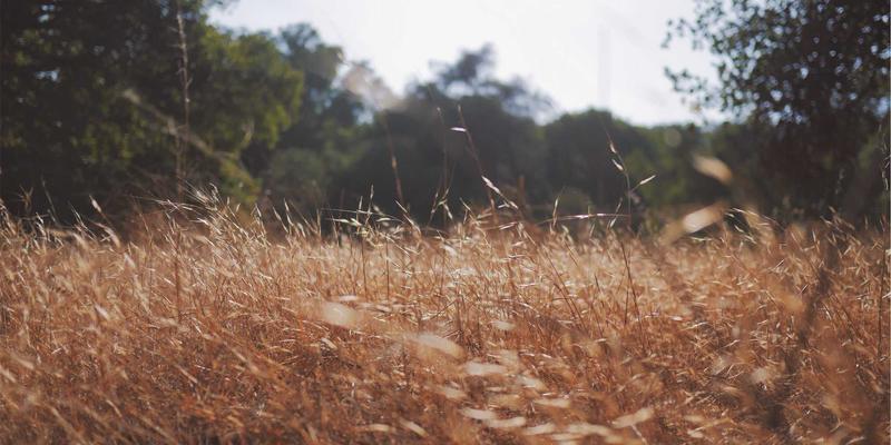 化工产品客户定制化服务模式：从需求分析到配方交付的完整解决方案