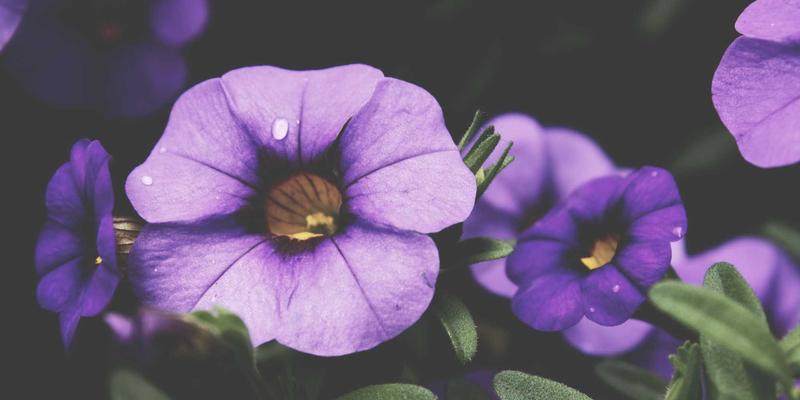 工业原料与化工解决方案双轮驱动，热诚化工如何领航产业新未来