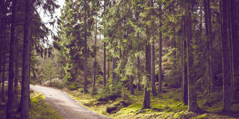 数字化供应链重塑化工大宗贸易：工业原料与化学品流通的风险管控与效率优化