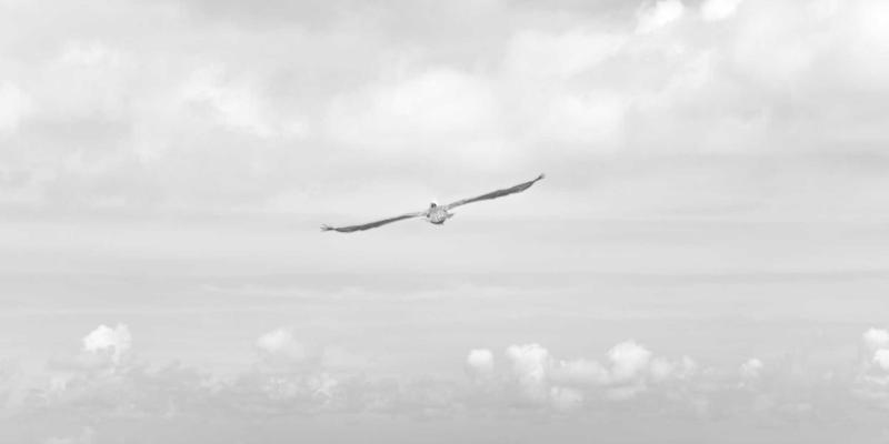 智慧物流赋能化工园区：添加剂与化学品供应链协同管理新实践