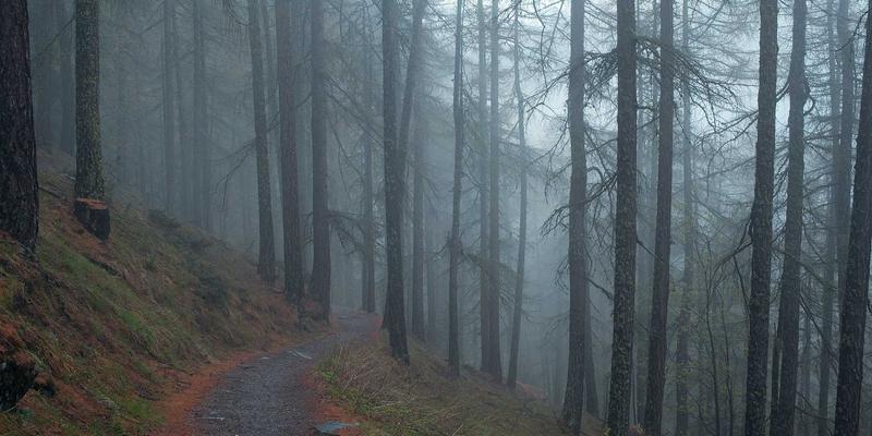 添加剂与化学品价格波动解析：关键影响因素与科学预测方法