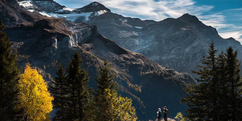 溶剂与添加剂碳足迹核算全解析：热诚化工的减排策略与实践