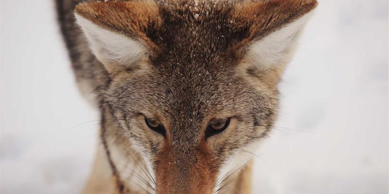 热诚化工解析：微反应器与连续流工艺如何重塑化学品生产新格局