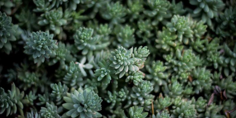 精选化工产品与解决方案：赋能产业升级，释放生产潜能